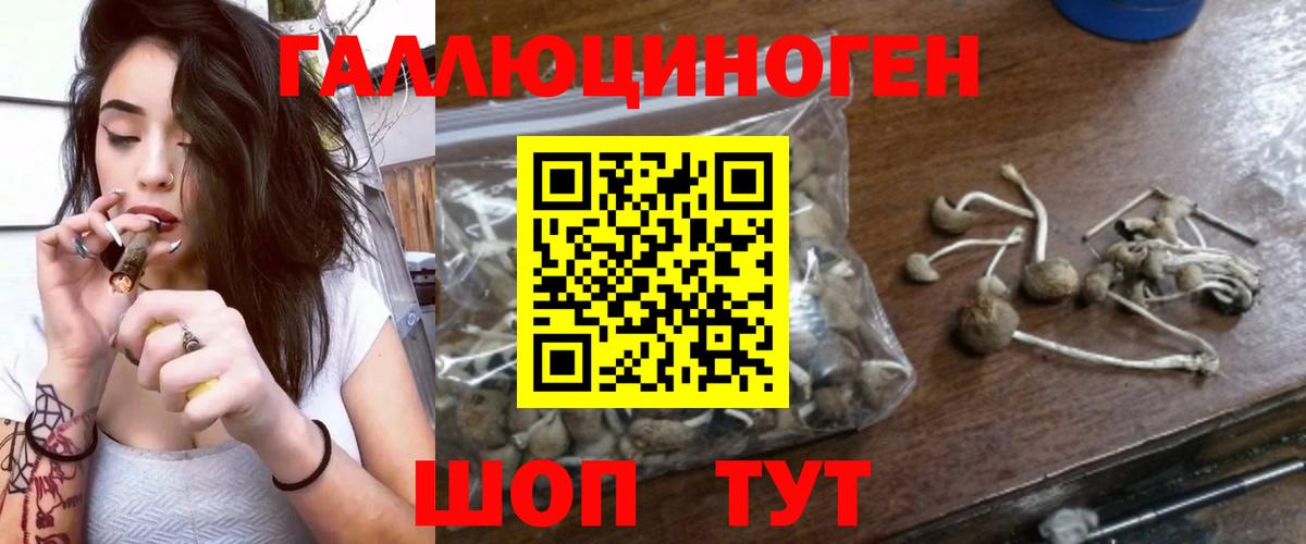 Пушкино  Псилоцибиновые грибы MAGIC MUSHROOMS  Псилоцибиновые грибы мухоморы  Вход с VPN 