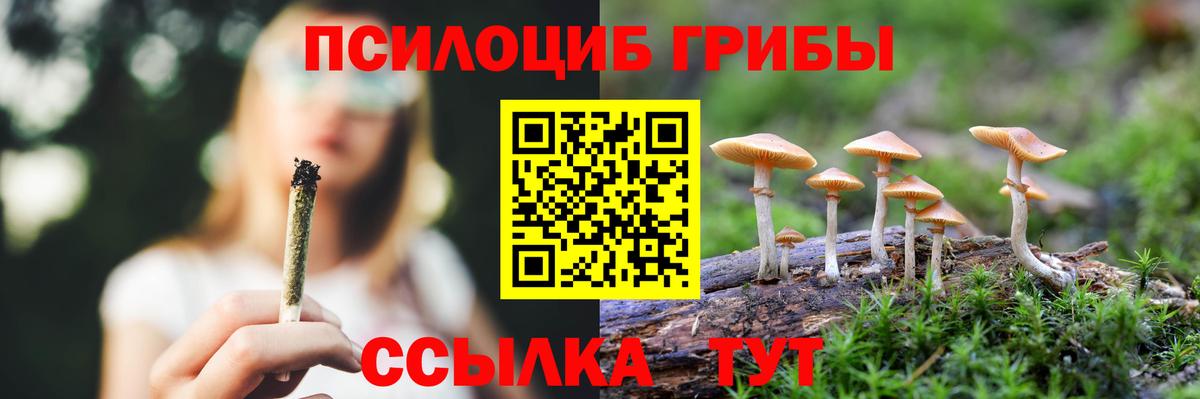 Галлюциногенные грибы мухоморы Пушкино